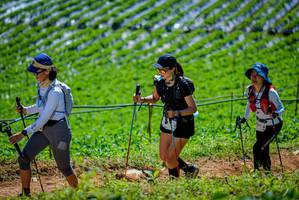 BIB: 
                            <button type="button" onclick="openModal(19164627)" class="btn btn-primary btn-sm float-right btn-popup" data-toggle="modal" data-target=".modal-high-quality">
                        <i class="fas fa-shopping-cart"></i> Add to Cart
                    </button>
                                            <button type="button" onclick="isThisMe(19164627, true)" class="btn btn-success btn-sm float-right btn-popup btn-isme hidden" data-toggle="tooltip" data-placement="bottom" title="นี่คือรูปของคุณใช่ไหม คลิกที่นี่เพื่อเอาเข้าอัลบั้ม">
                        <i class="fas fa-plus"></i> Add to album
                    </button>
                    <button type="button" onclick="isThisMe(19164627, false)" class="btn btn-warning btn-sm float-right btn-popup btn-isnotme hidden">
                        <i class="fas fa-ban"></i> Remove from album
                    </button>